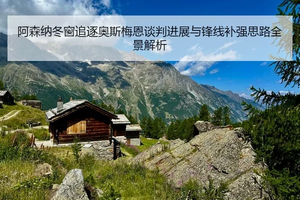 阿森纳冬窗追逐奥斯梅恩谈判进展与锋线补强思路全景解析